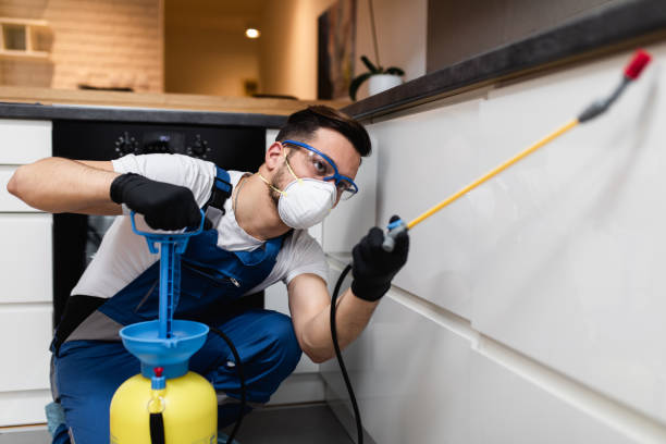 Best Flea Control Services  in Olcott, NY