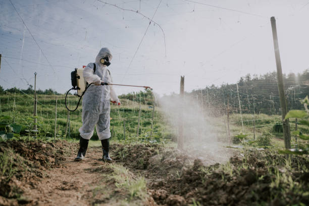 Best Commercial Pest Control Services  in Olcott, NY