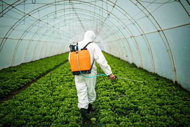 Best Ant Control Services  in Olcott, NY