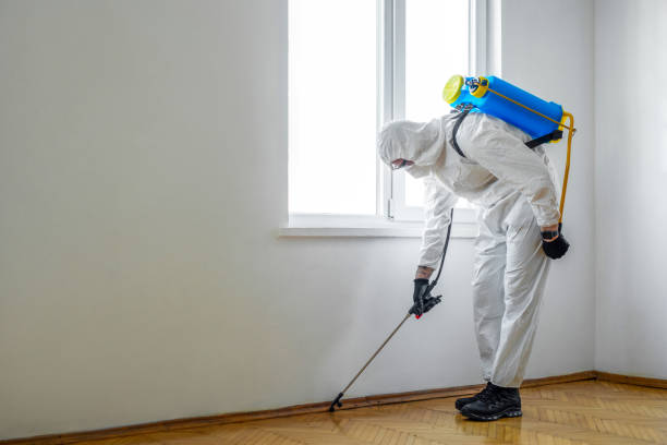 Best Emergency Pest Control  in Olcott, NY
