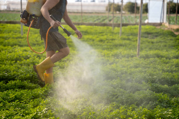 Best Exterminator Services  in Olcott, NY