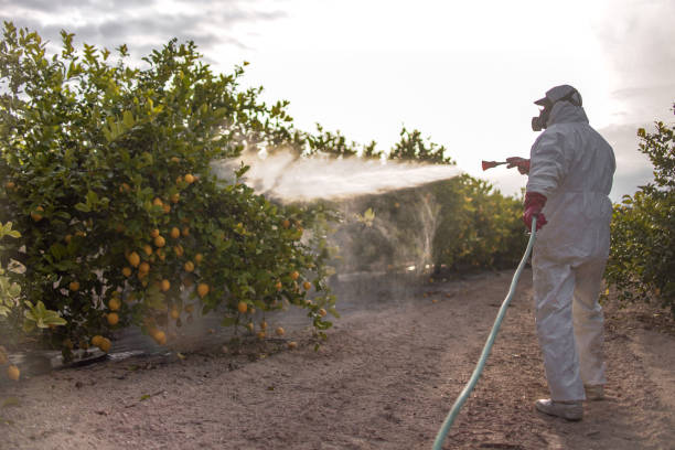 Best Pest Removal Services  in Olcott, NY