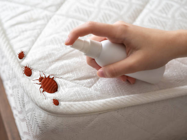 Best Pest Control for Homes  in Olcott, NY