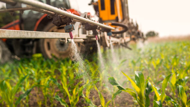 Professional Pest Control in Olcott, NY